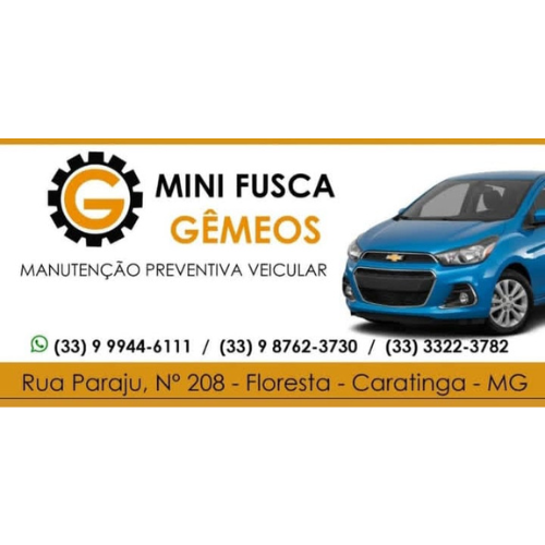 Mini Fusca Gêmeos