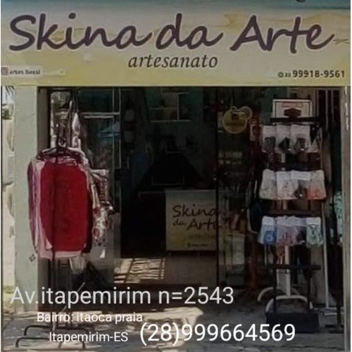 Skina da Arte