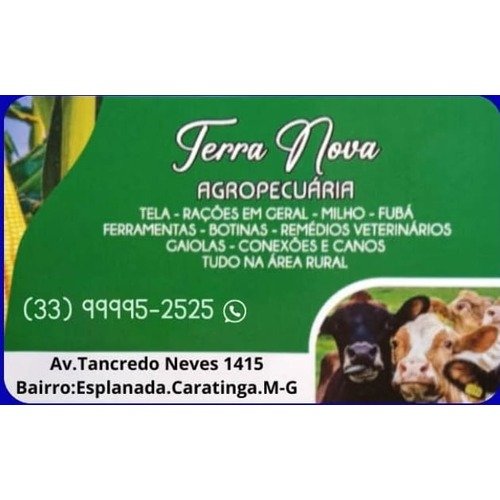 Terra Nova Agropecuária