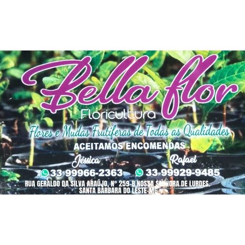 Bella Flor Floricultura