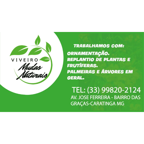 Viveiro Mudas Naturais