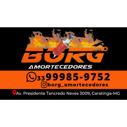 Borg Amortecedores