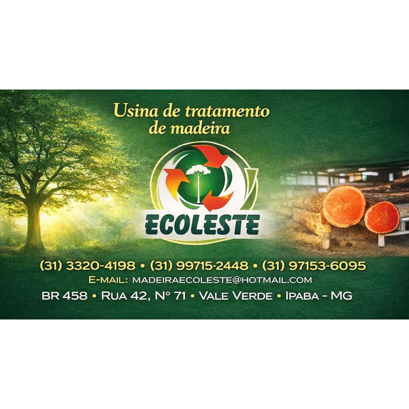 Ecoleste Usina de Tratamento de Madeira